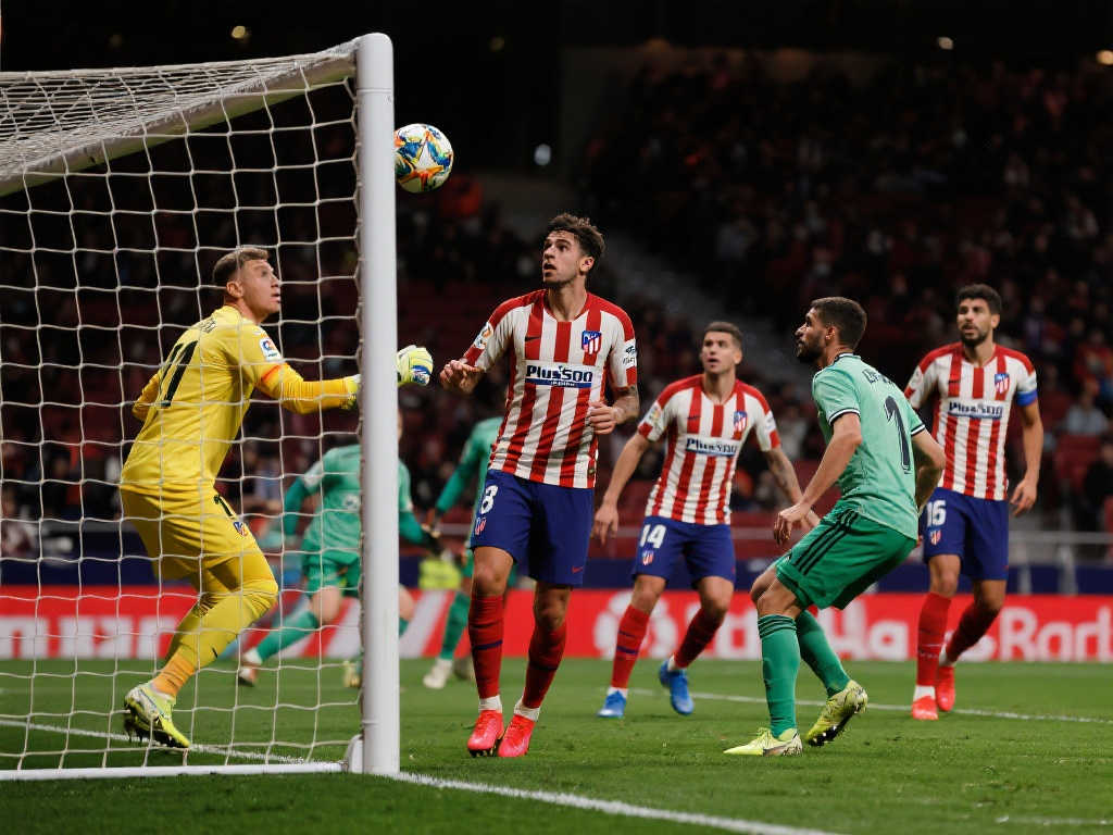 核心球员谢 核心球员谢